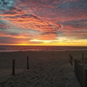 Meet your Posher, Rose